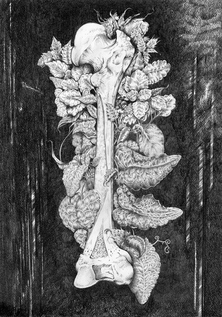 "Memória Óssea"/"Bone