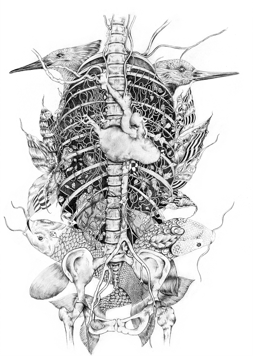 " Angiotomografia da sua natureza"/ "Angiotomography of your nature"