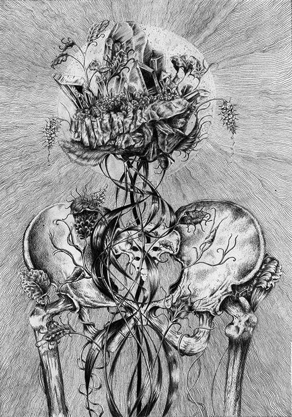 "Flor Pedra"/ "Stone Flower"