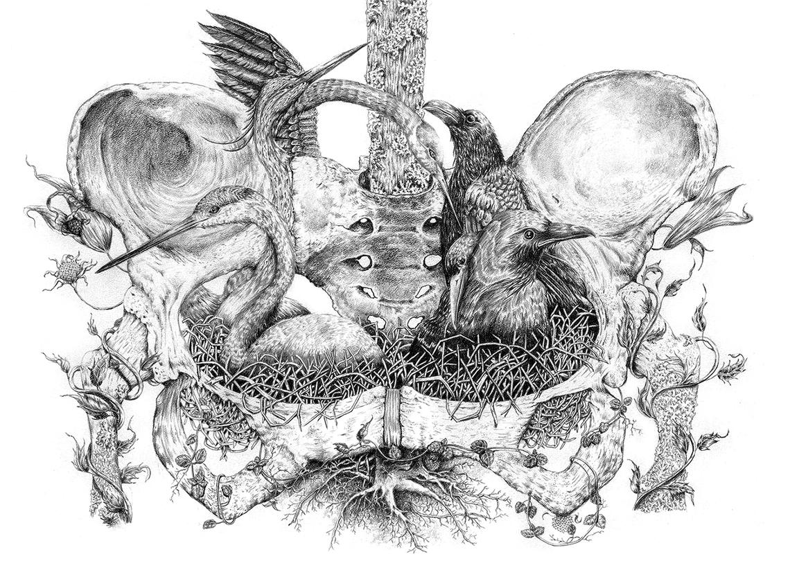 "Ninho Pelvis"/ Nest-Pelvis"